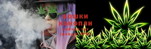 гидропоника Бородино