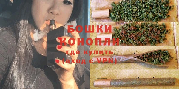гидра Бронницы