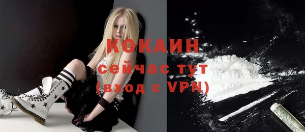 гидра Бронницы