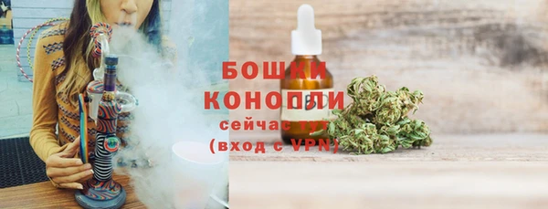 гидра Бронницы