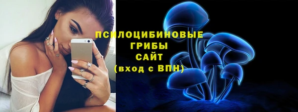 гидропоника Бородино