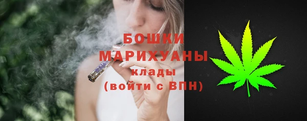 гидропоника Бородино