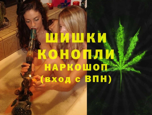 гидра Бронницы