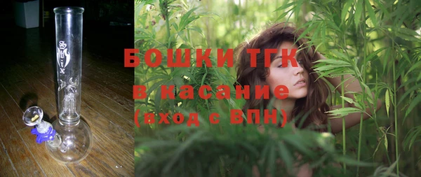 молекула духа Сосновка