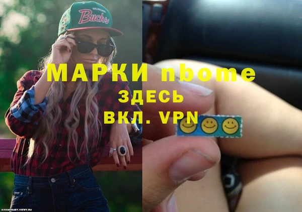 гидра Бронницы