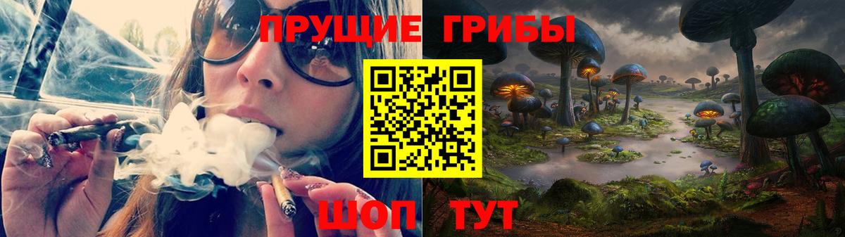 Псилоцибиновые грибы прущие грибы  Псилоцибиновые грибы Psilocybe  Вход с VPN  Можайск 